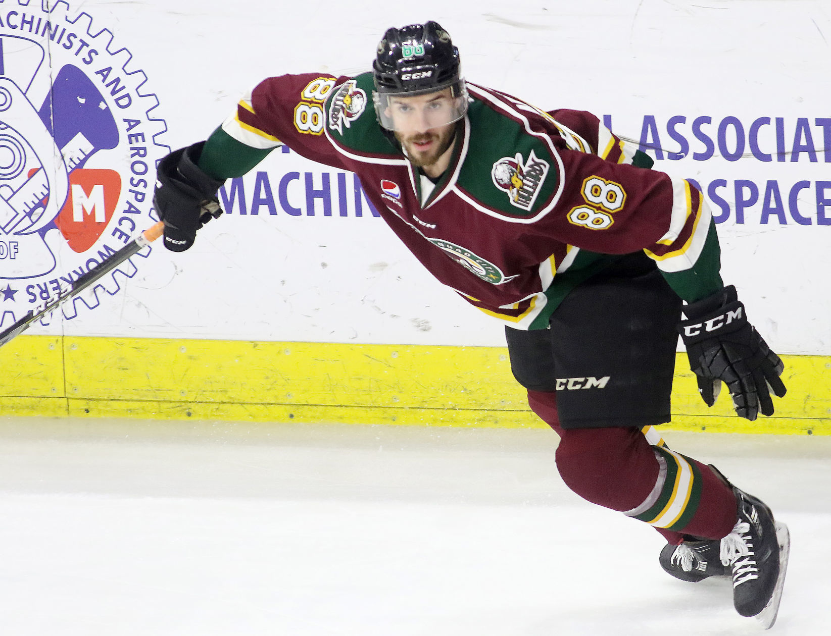 030418-Mallards-FT-Wayne-008
